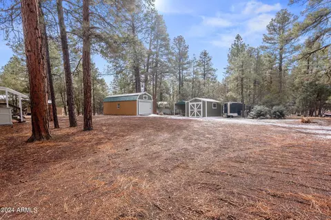 2896 Pine Rim Rd, Overgaard, AZ 85933 photo 40