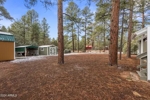2896 Pine Rim Rd, Overgaard, AZ 85933 photo 45