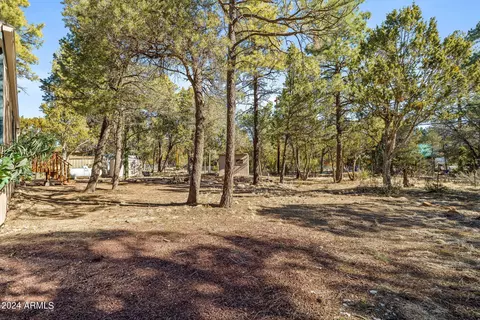 2977 Hunters Rd, Overgaard, AZ 85933 photo 21