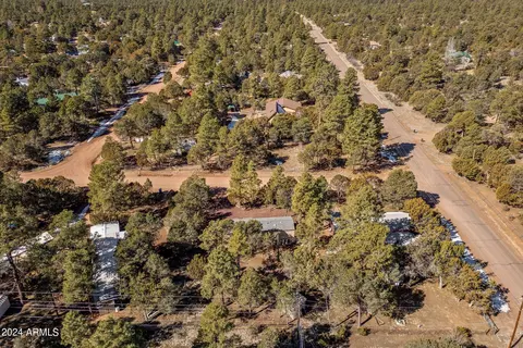 2977 Hunters Rd, Overgaard, AZ 85933 photo 26