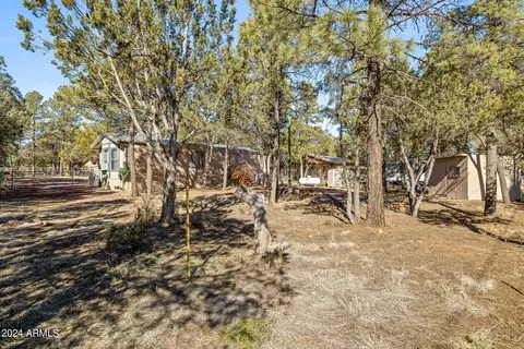 2977 Hunters Rd, Overgaard, AZ 85933 photo 18