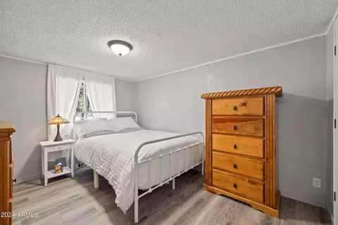 2977 Hunters Rd, Overgaard, AZ 85933 photo 12