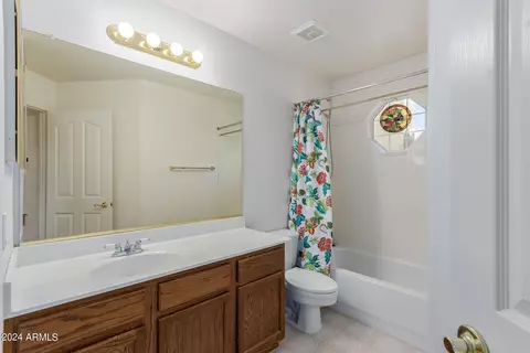 Bath - 246 S Cobblestone Dr, Gilbert, AZ 85296 photo 3 of 4