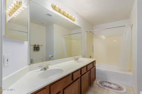 Bath - 246 S Cobblestone Dr, Gilbert, AZ 85296 photo 4 of 4