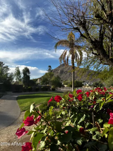 4724 N 65th St #189, Scottsdale, AZ 85251