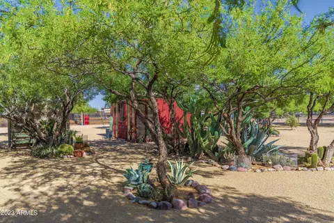 Exterior - 141 E Cloud Rd, Phoenix, AZ 85086 photo 30 of 33