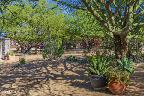 Exterior - 141 E Cloud Rd, Phoenix, AZ 85086 photo 28 of 33