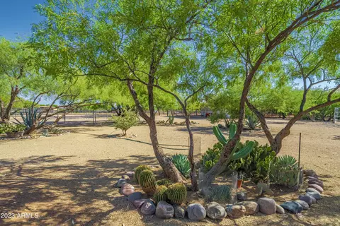 Exterior - 141 E Cloud Rd, Phoenix, AZ 85086 photo 33 of 33