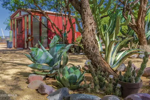 Exterior - 141 E Cloud Rd, Phoenix, AZ 85086 photo 29 of 33