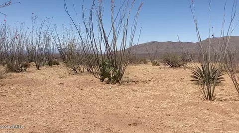 tbd E Wrangler Rd #72, Tombstone, AZ 85638