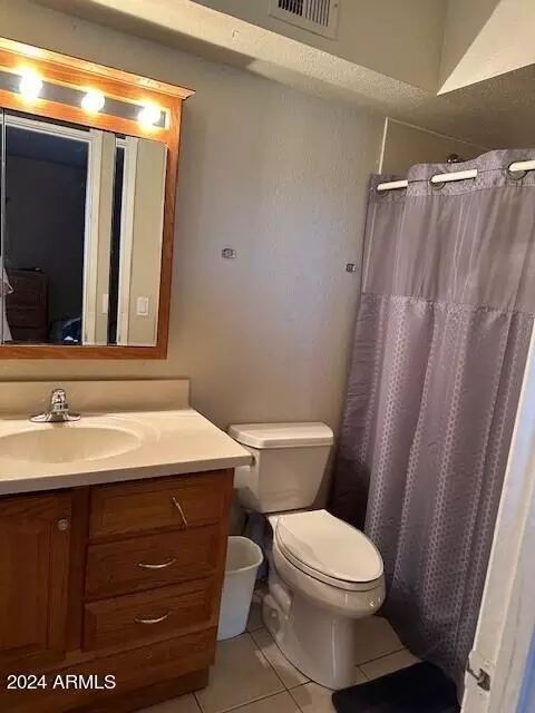 Bath - 12725 E Cloud Rd, Chandler, AZ 85249 photo 3 of 4