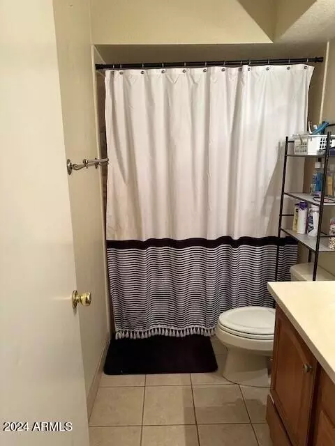 Bath - 12725 E Cloud Rd, Chandler, AZ 85249 photo 2 of 4