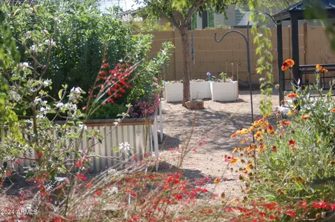 Exterior - 3728 E Mia Ln, Gilbert, AZ 85298 photo 21 of 32