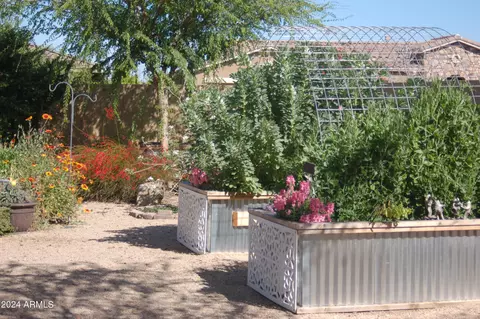 Exterior - 3728 E Mia Ln, Gilbert, AZ 85298 photo 20 of 32