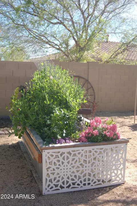 Exterior - 3728 E Mia Ln, Gilbert, AZ 85298 photo 17 of 32
