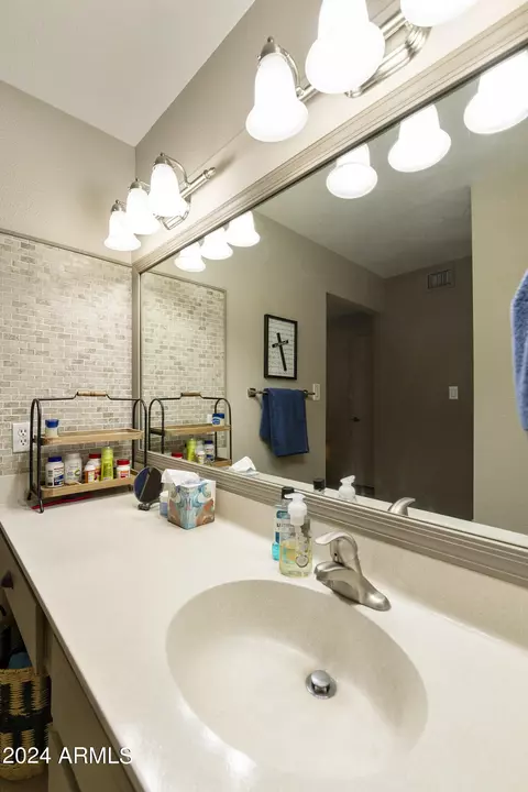 Bath - 7717 E Park View Dr, Mesa, AZ 85208 photo 2 of 4