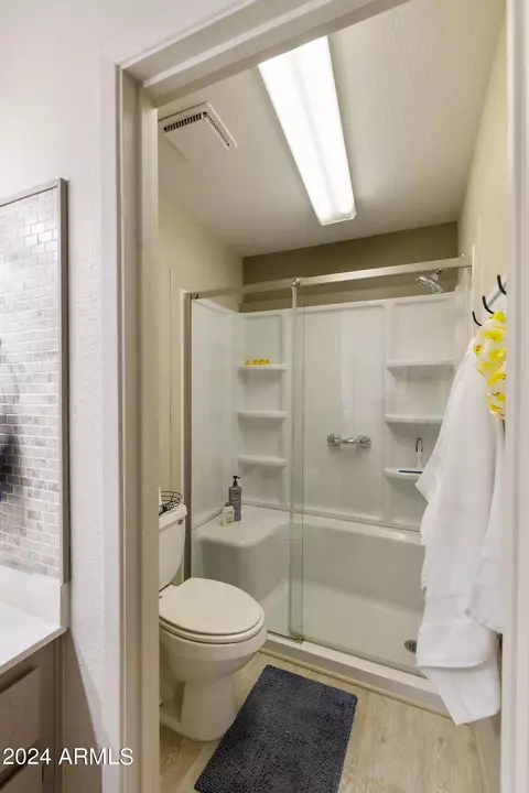 Bath - 7717 E Park View Dr, Mesa, AZ 85208 photo 3 of 4