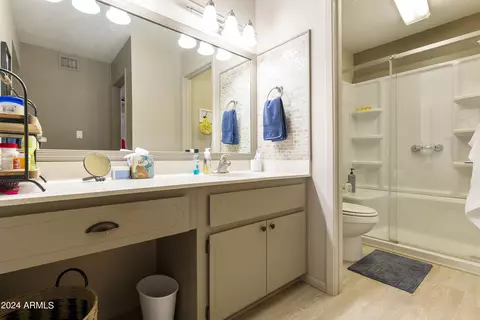 Bath - 7717 E Park View Dr, Mesa, AZ 85208 photo 1 of 4