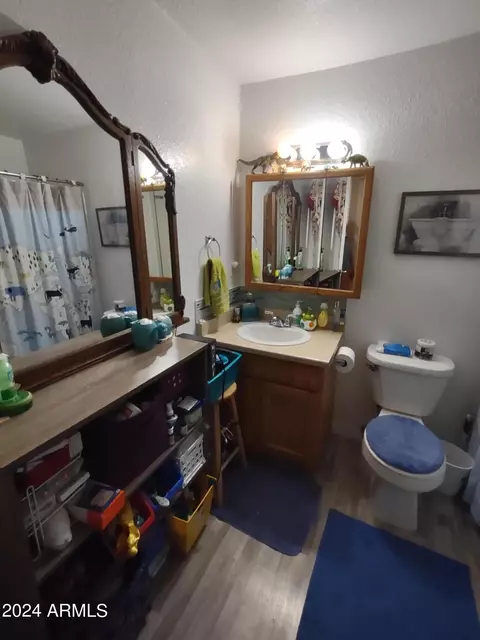 3629 E Crocus Dr, Phoenix, AZ 85032 photo 12