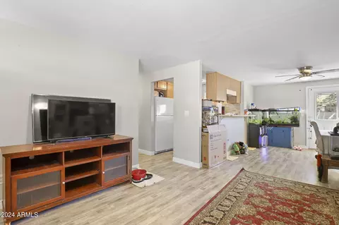 3629 E Crocus Dr, Phoenix, AZ 85032 photo 2