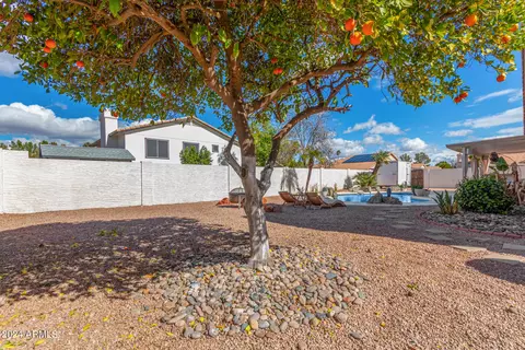 Exterior - 710 E Saratoga St, Gilbert, AZ 85296 photo 11 of 13