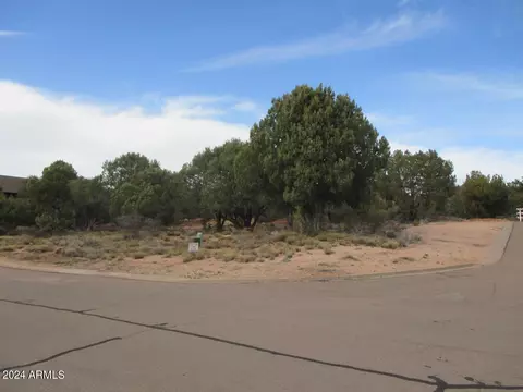 1301 N Earhart Cir #99, Payson, AZ 85541
