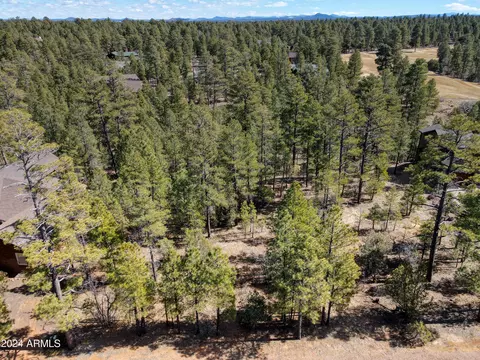 401 N Silverleaf Ln #62, Show Low, AZ 85901