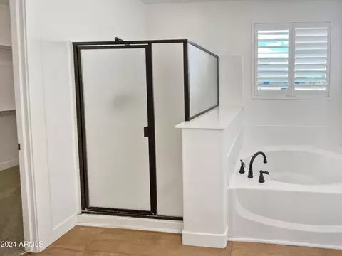 Bath - 11016 E Quartet Ave, Mesa, AZ 85212 photo 6 of 6
