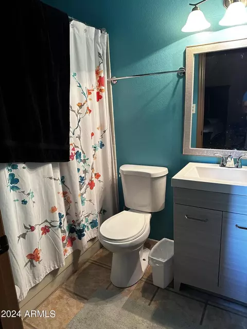 Bath - 754 E Huber St, Mesa, AZ 85203 photo 1 of 2
