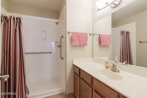 Bath - 5230 E Brown Rd #217, Mesa, AZ 85205 photo 1 of 2