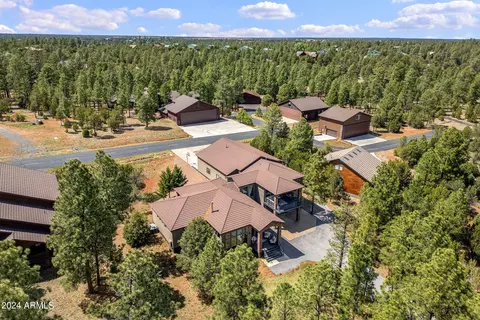 View/Area - 2841 Thunderbolt Cir, Overgaard, AZ 85933 photo 5 of 14