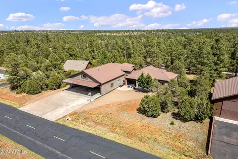 View/Area - 2841 Thunderbolt Cir, Overgaard, AZ 85933 photo 4 of 14