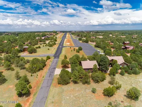 View/Area - 2841 Thunderbolt Cir, Overgaard, AZ 85933 photo 11 of 14