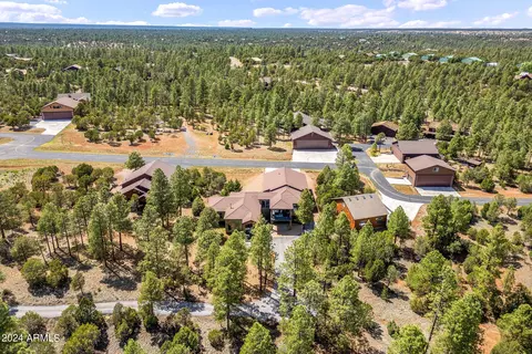 View/Area - 2841 Thunderbolt Cir, Overgaard, AZ 85933 photo 6 of 14