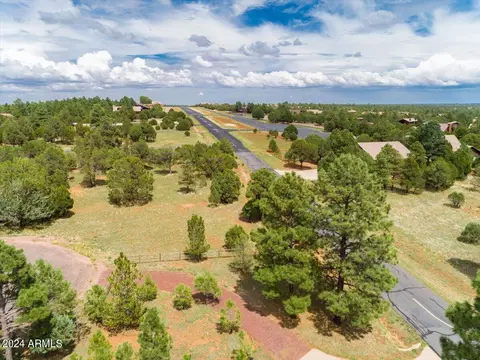 View/Area - 2841 Thunderbolt Cir, Overgaard, AZ 85933 photo 9 of 14