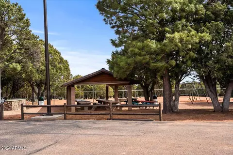 View/Area - 2841 Thunderbolt Cir, Overgaard, AZ 85933 photo 14 of 14