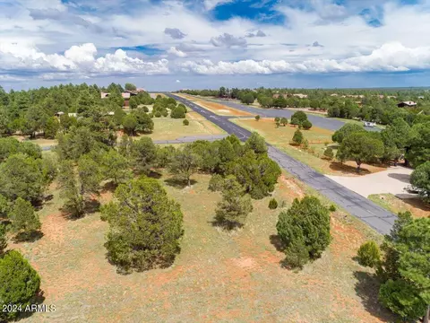 View/Area - 2841 Thunderbolt Cir, Overgaard, AZ 85933 photo 10 of 14