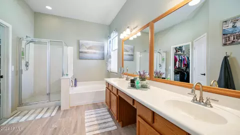 Bath - 10256 E Posada Ave, Mesa, AZ 85212 photo 1 of 3