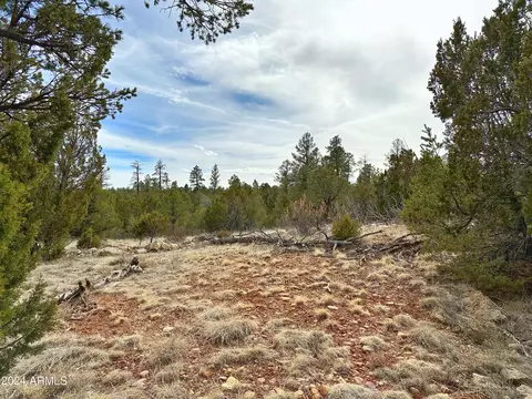 1787 Eagles Nest Rd #-, Heber, AZ 85928