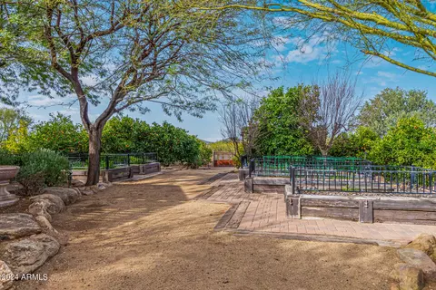 View/Area - 2920 E Cloud Rd, Cave Creek, AZ 85331 photo 7 of 18