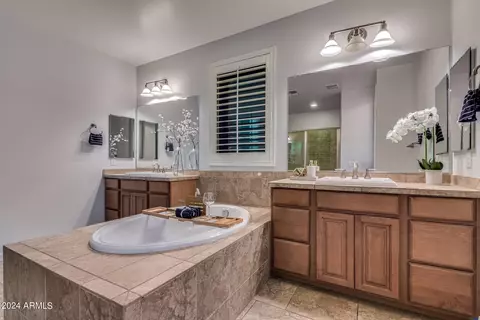 Bath - 4457 S Squires Ln, Gilbert, AZ 85297 photo 3 of 7