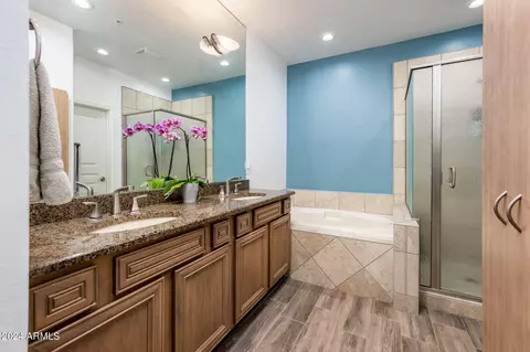 Bath - 3935 E Rough Rider Rd #1007, Phoenix, AZ 85050 photo 1 of 4