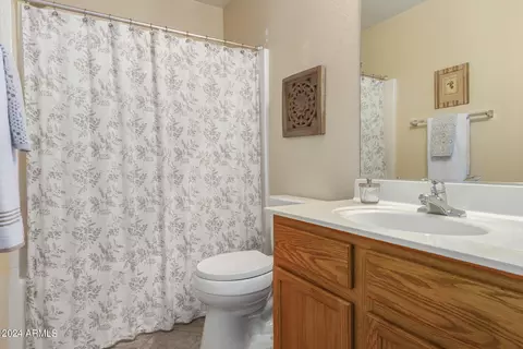 Bath - 3879 E Derringer Way, Gilbert, AZ 85297 photo 3 of 3