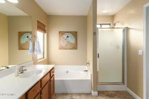 Bath - 3879 E Derringer Way, Gilbert, AZ 85297 photo 1 of 3