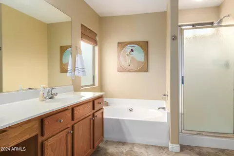 Bath - 3879 E Derringer Way, Gilbert, AZ 85297 photo 2 of 3
