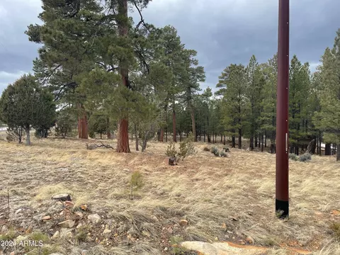 2280 Aztec Cir #166, Happy Jack, AZ 86024