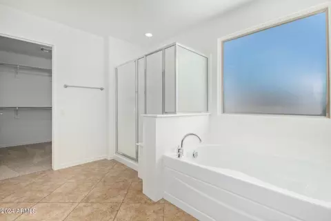 Bath - 11153 E Serafina Ave, Mesa, AZ 85212 photo 4 of 5