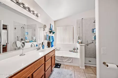Bath - 2269 E Marlene Dr, Gilbert, AZ 85296 photo 3 of 5