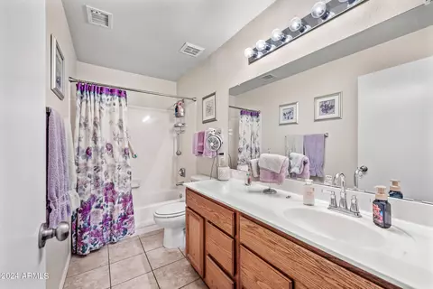 Bath - 2269 E Marlene Dr, Gilbert, AZ 85296 photo 5 of 5