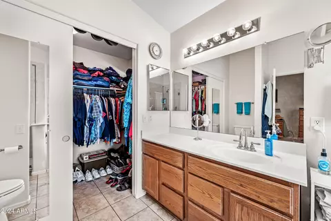 Bath - 2269 E Marlene Dr, Gilbert, AZ 85296 photo 2 of 5